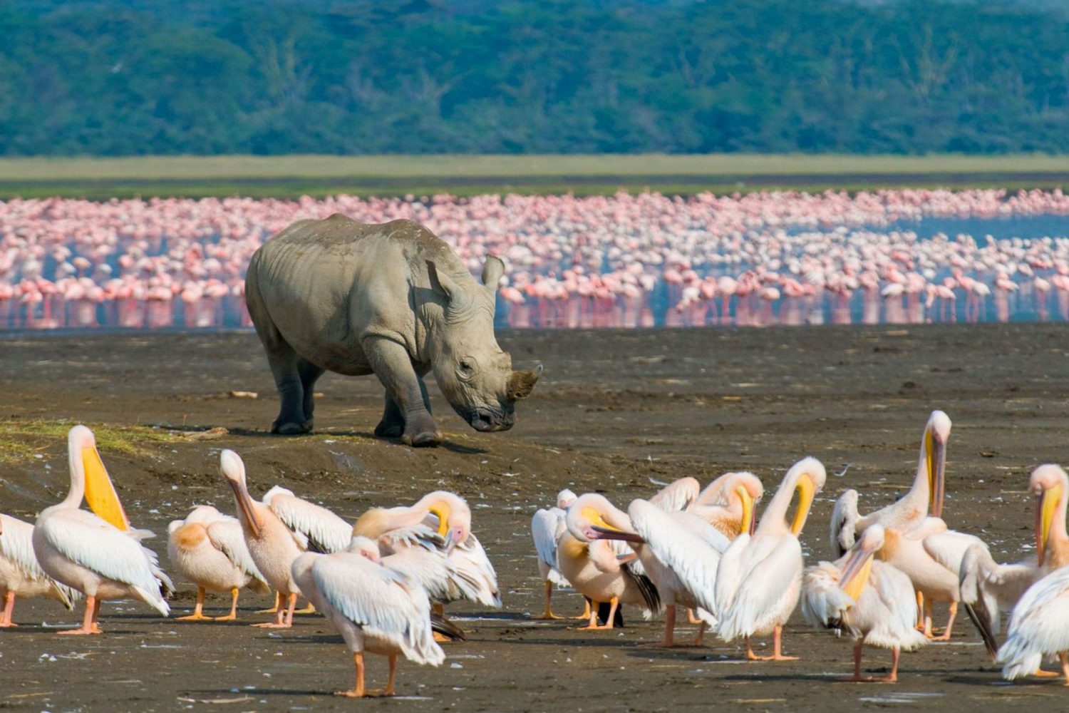 bonfire-safari-holidays