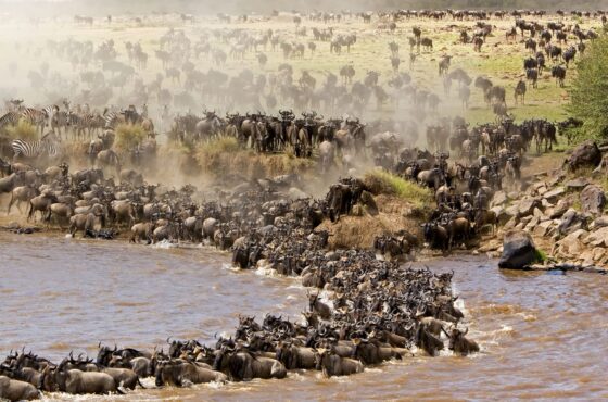 4-day Nairobi and Massai Mara Adventure.