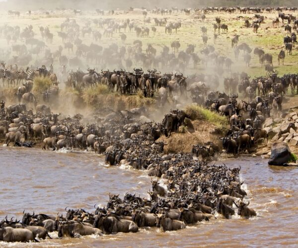 4-day Nairobi and Massai Mara Adventure.