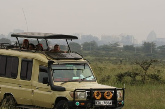 The Ultimate Guide to Safari in Kenya: Best Parks, Times to Visit & What to Expect